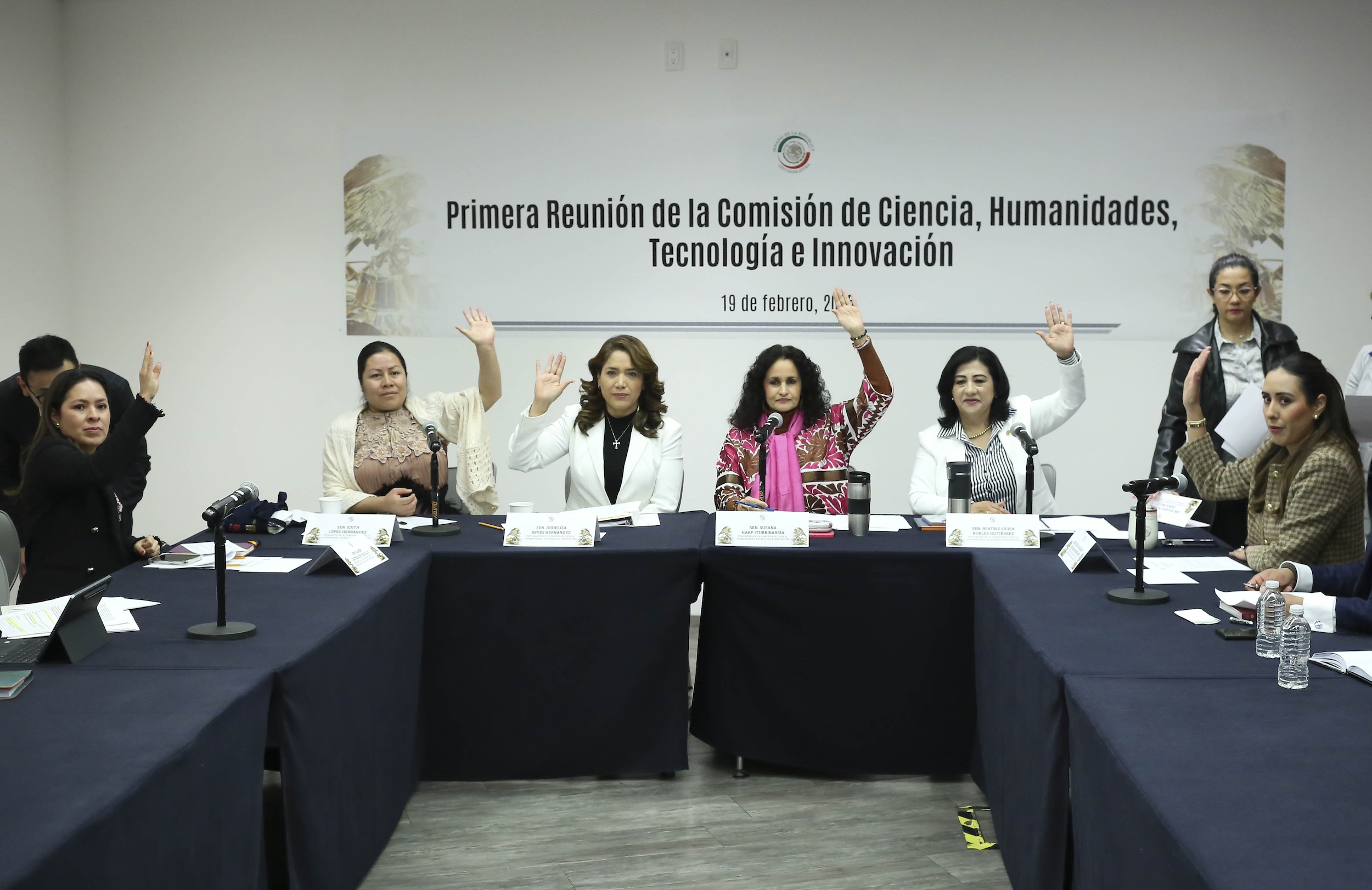 190225 Comision Ciencia Humanidades Tecnologia e Innovacion-5