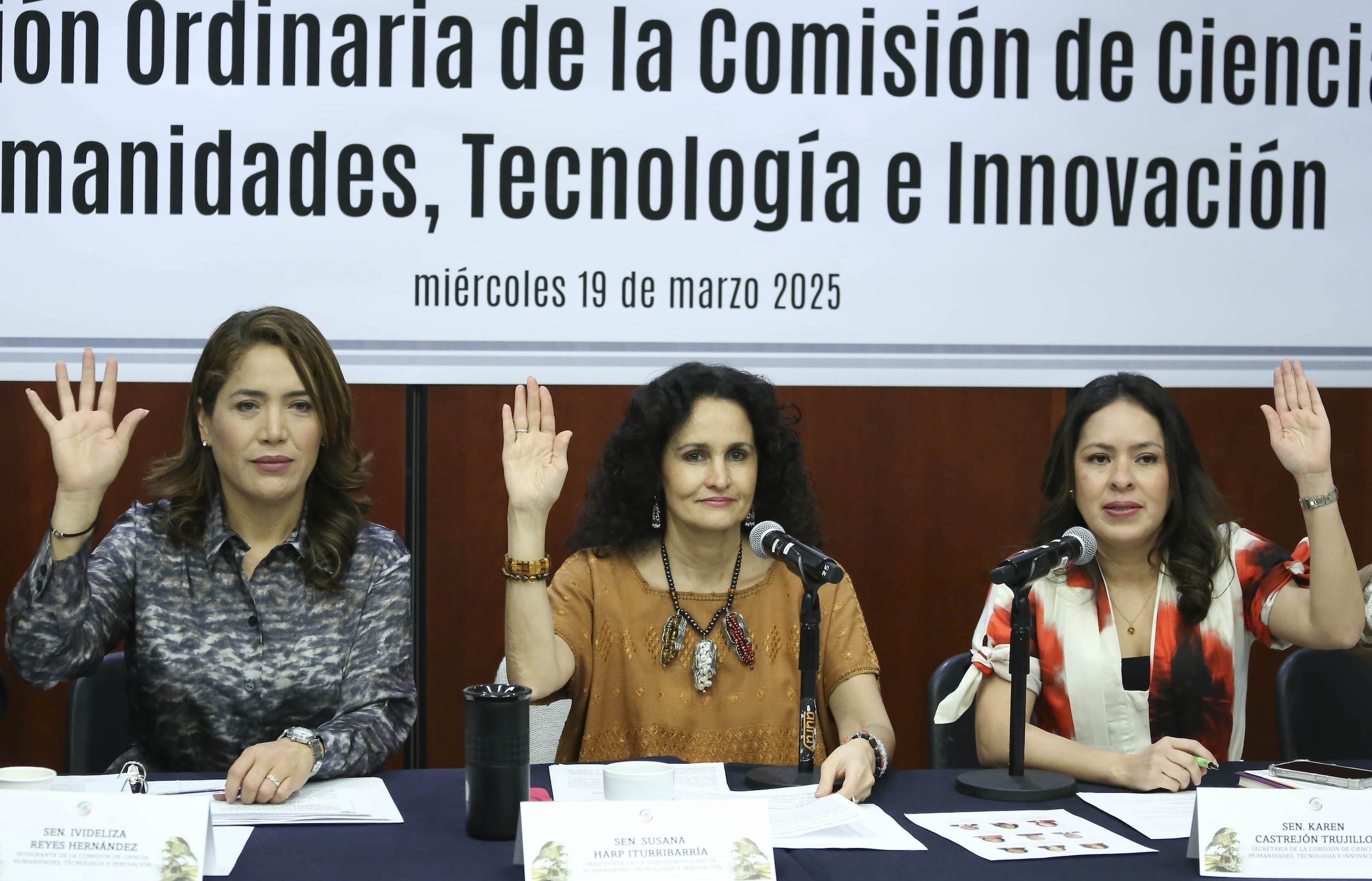 190325 Comision de Ciencia-4
