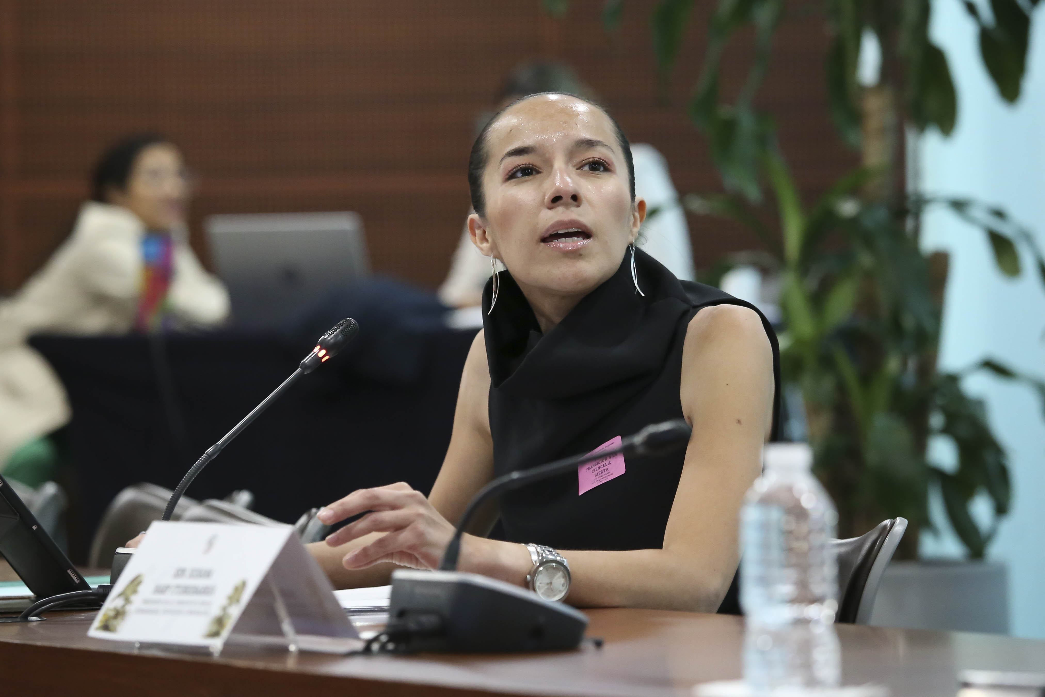 070425 Foro Ciencia Abierta 13.jpg