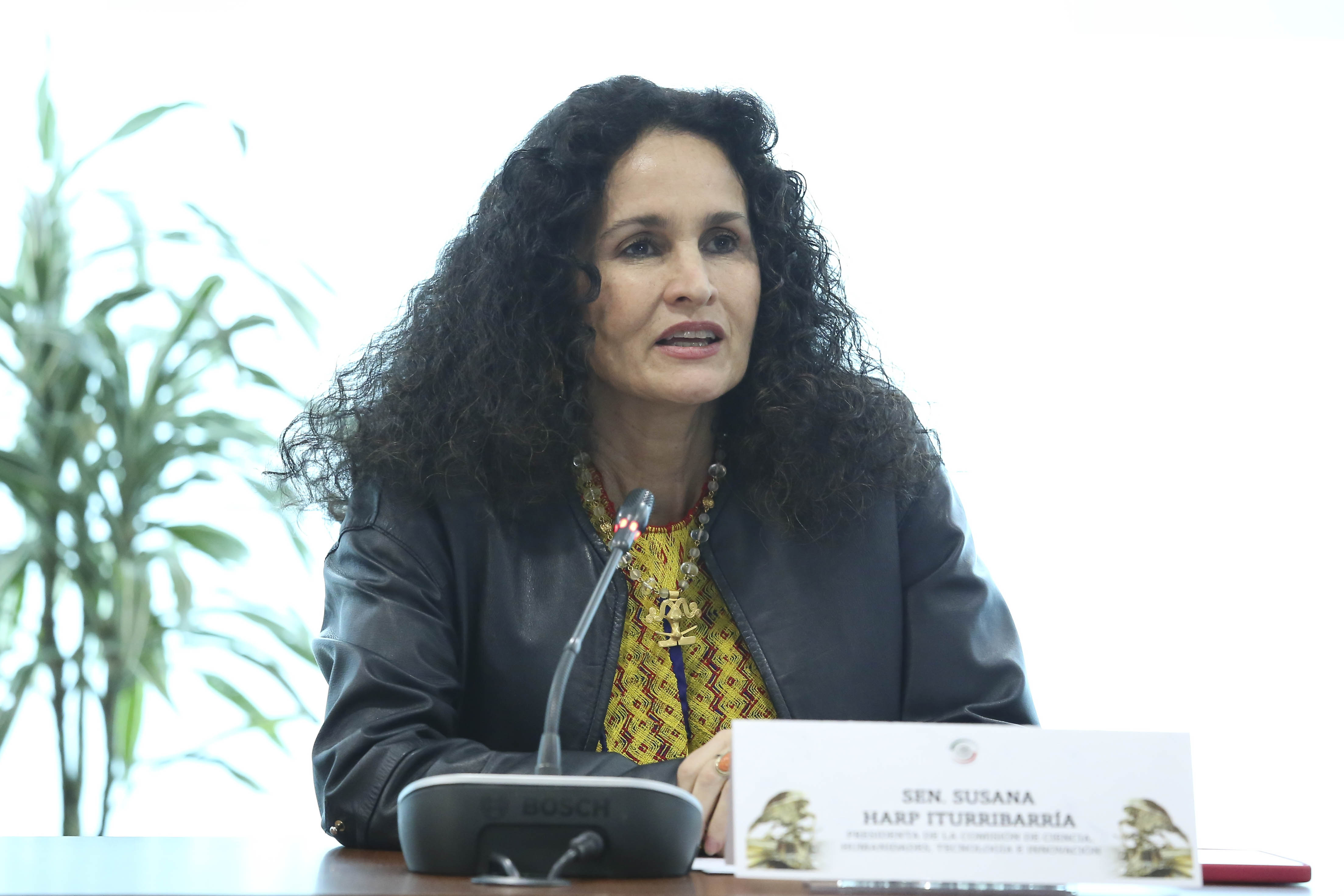 070425 Foro Ciencia Abierta 22.jpg