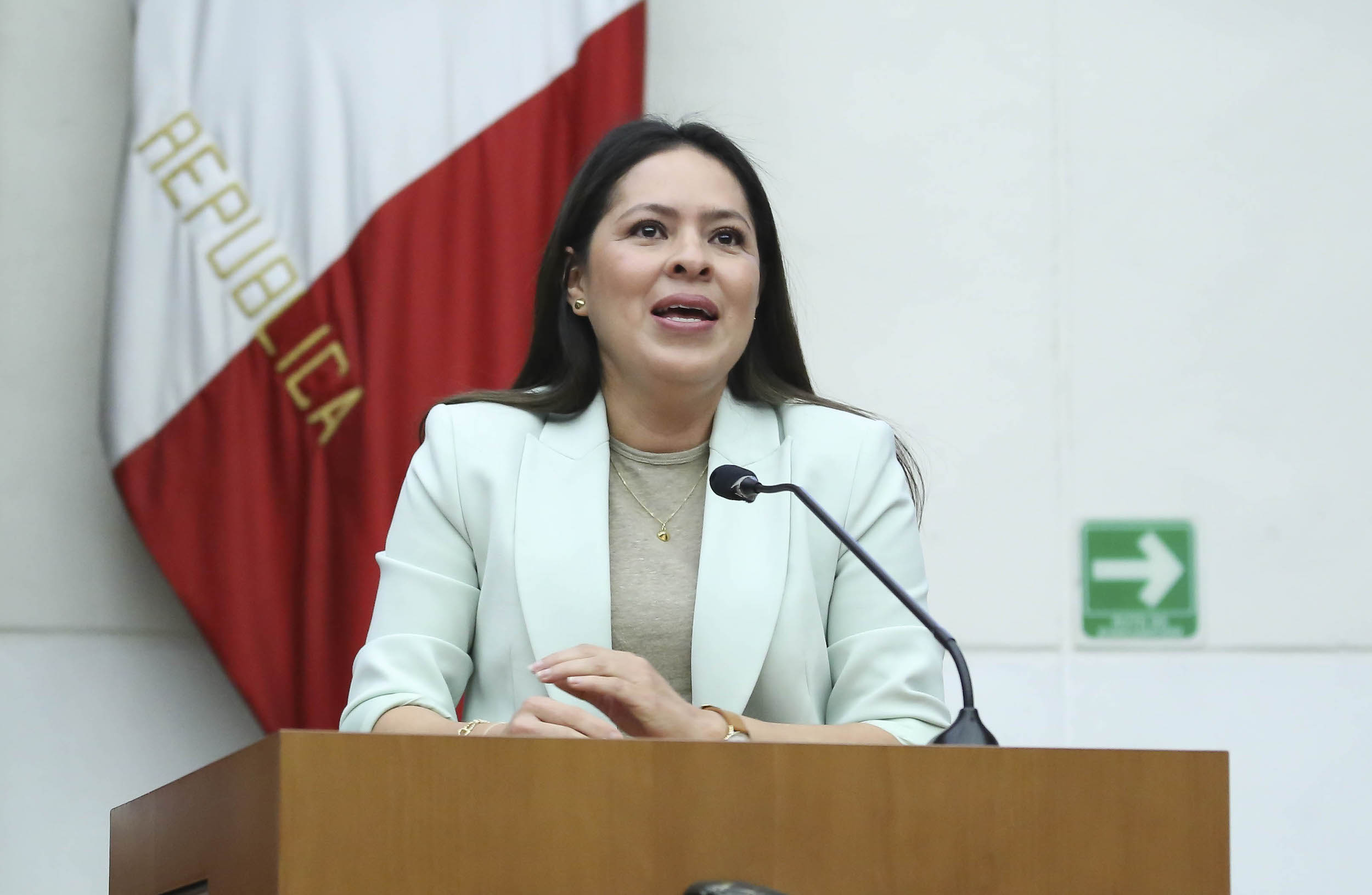 120325 Foro Presente y Futuro de la Ciencia-14