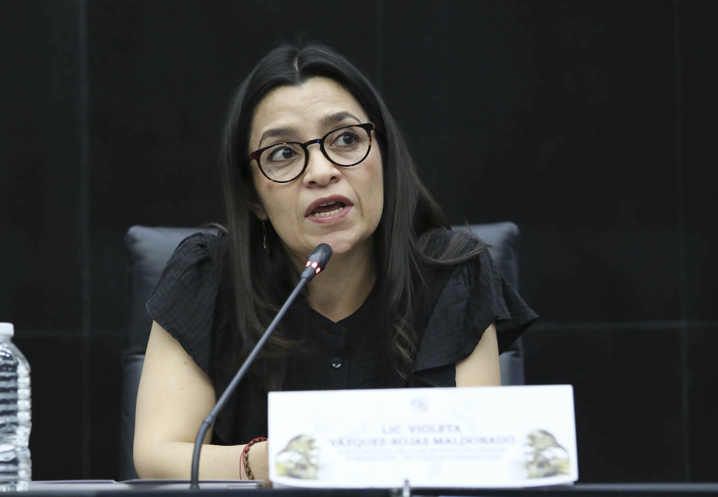 120325 Foro Presente y Futuro de la Ciencia-15