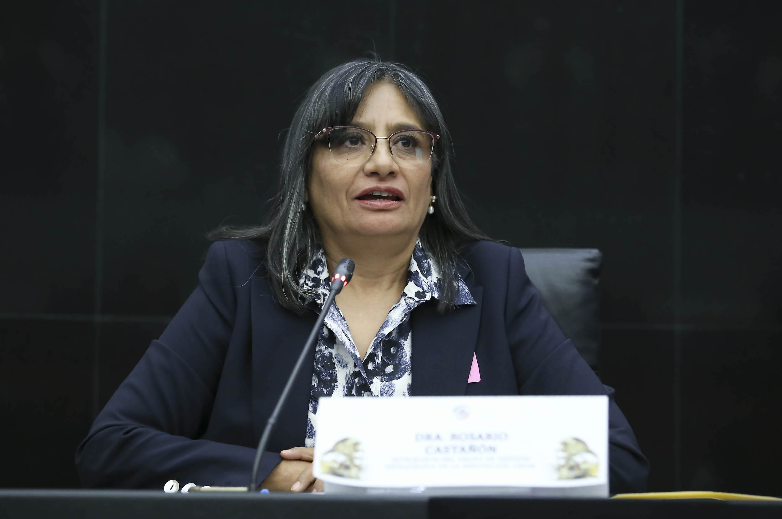 130325 Foro Presente y Futuro Ciencia-26