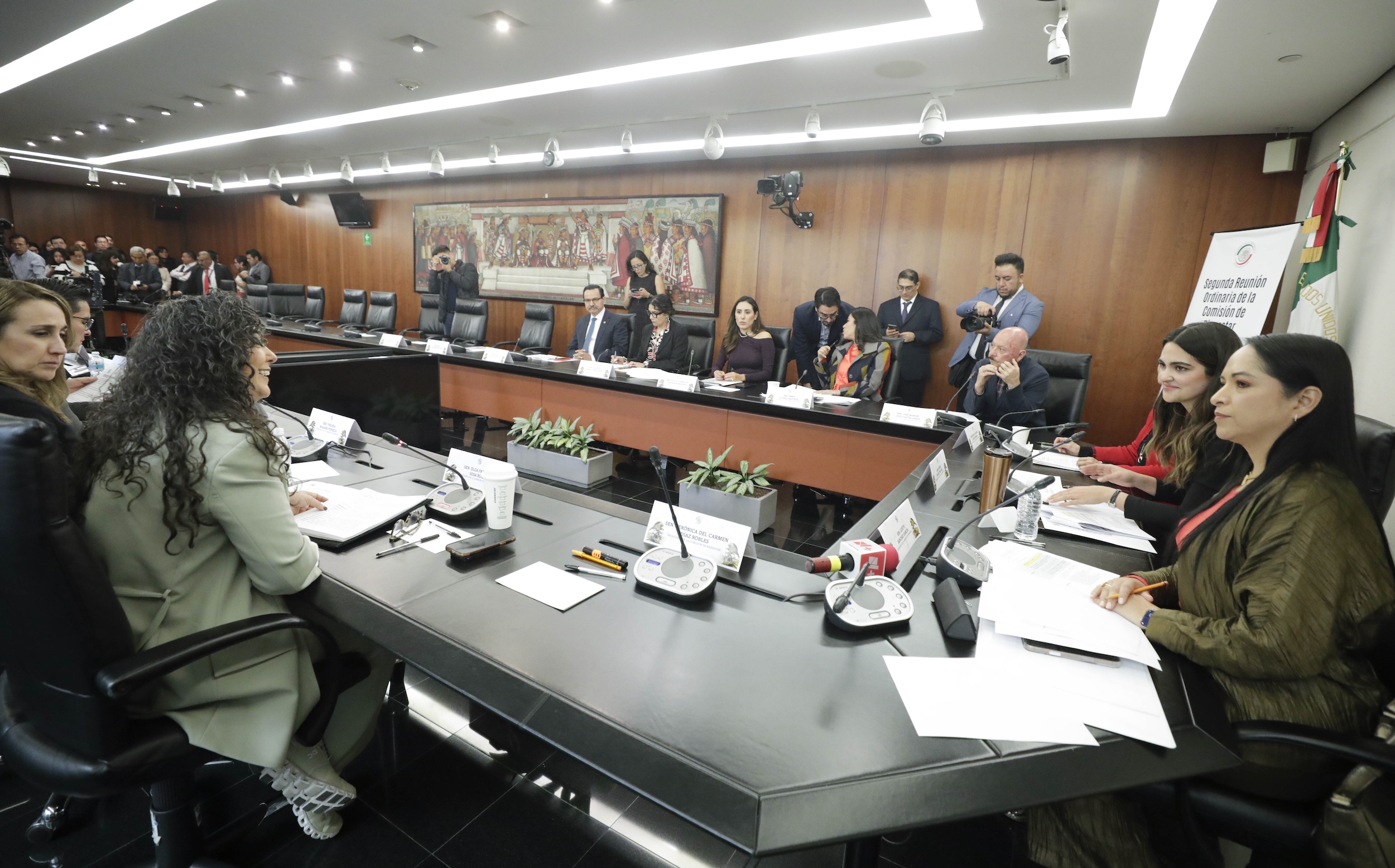 250225Comision de Bienestar-10