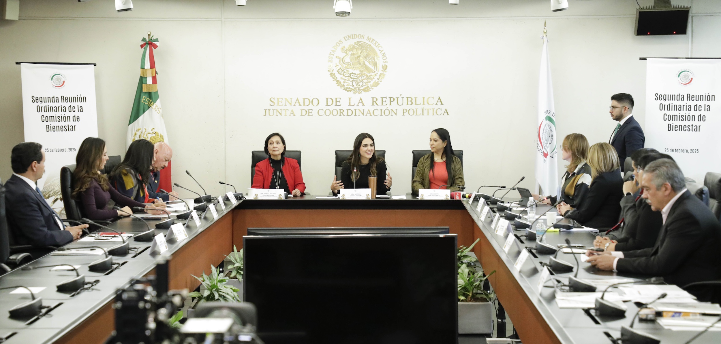 250225Comision de Bienestar-26