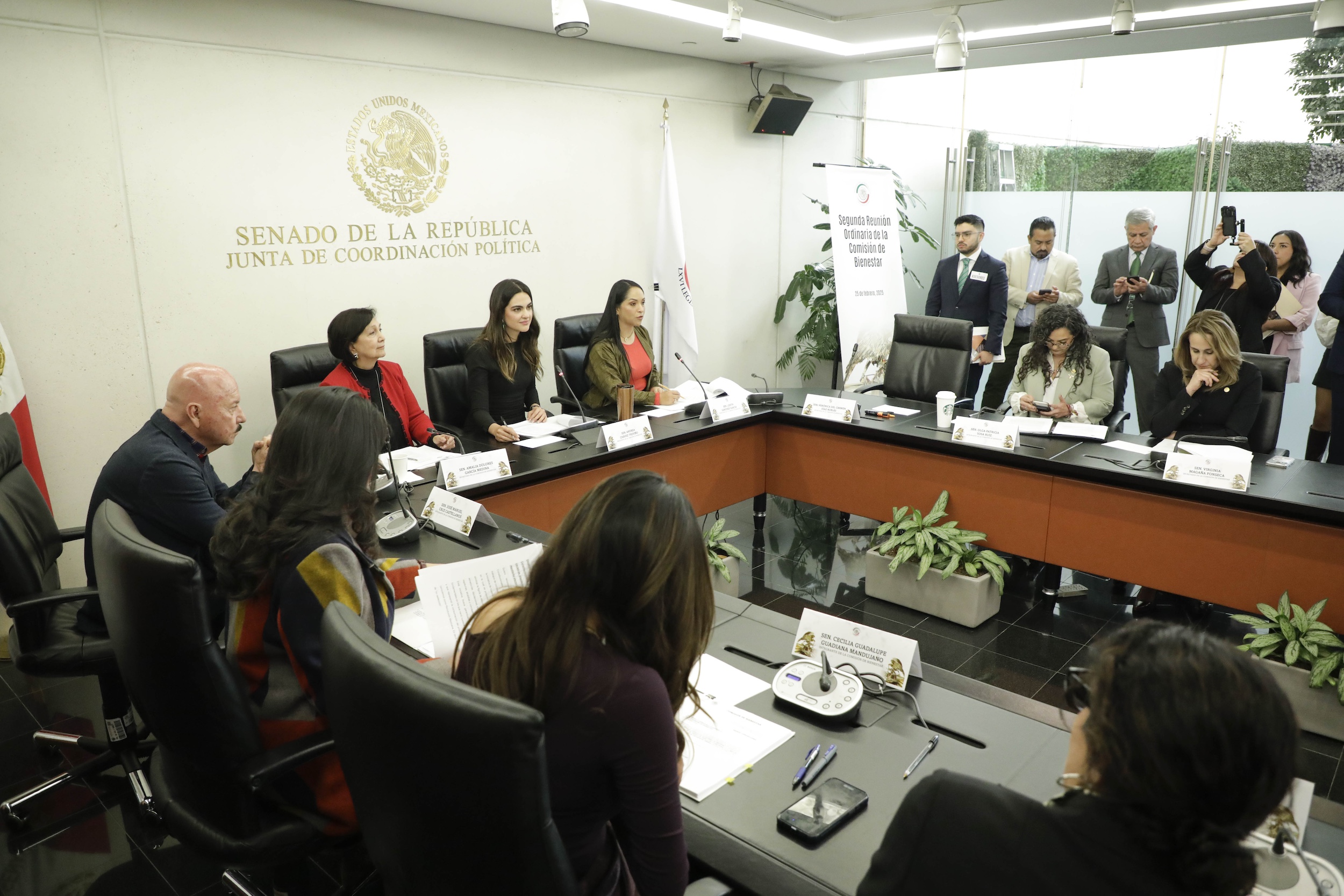 250225Comision de Bienestar-3