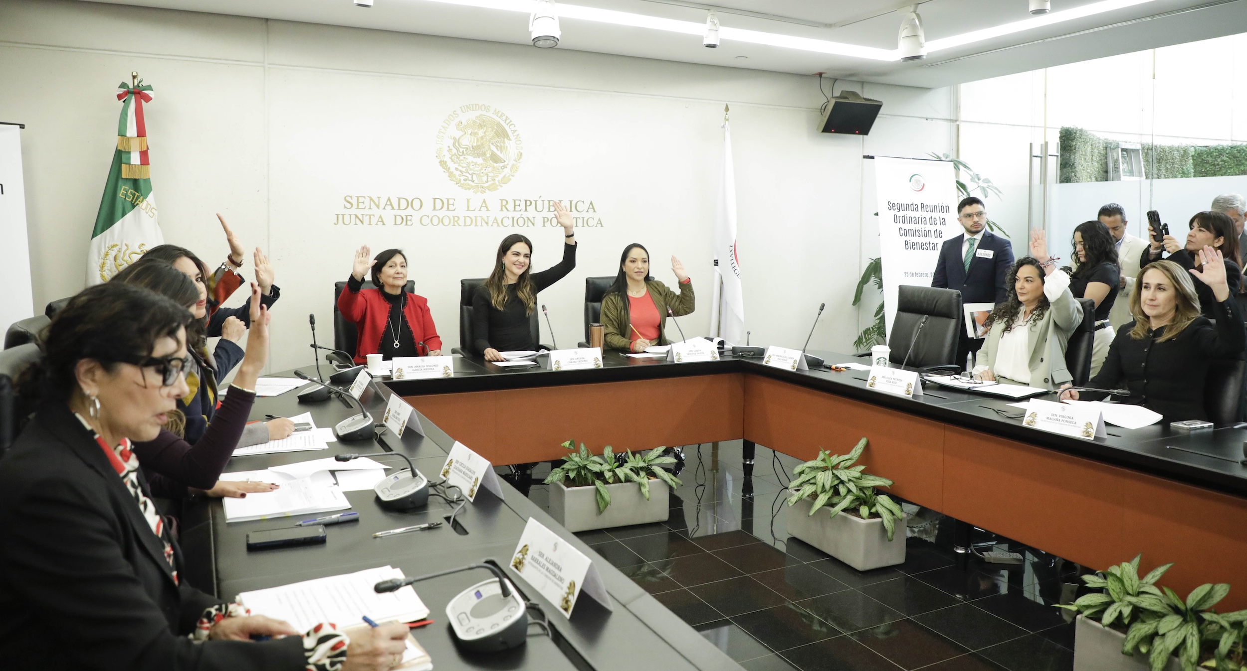 250225Comision de Bienestar-4