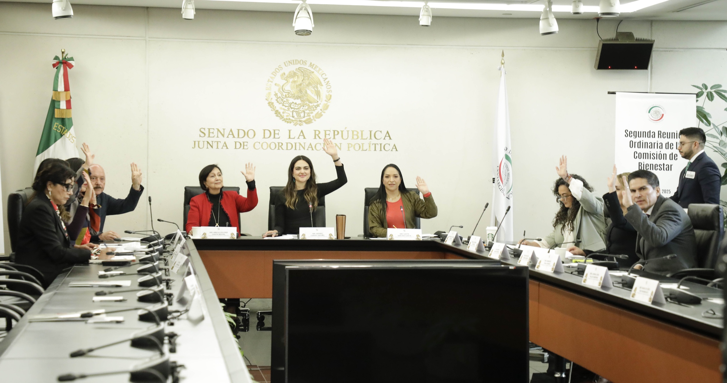 250225Comision de Bienestar-5