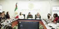Primera Reunión Ordinaria, 20 de noviembre de 2024