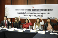 Primera Reunión Ordinaria de trabajo de la Comisión de Deporte, día 4 de marzo de 2025.