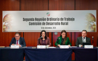 Segunda Reunión Ordinaria de la Comisión de Desarrollo Rural, 10 de diciembre de 2024
