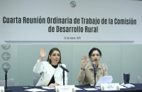 Cuarta Reunión Ordinaria de la Comisión de Desarrollo Rural, 25 de marzo de 2025