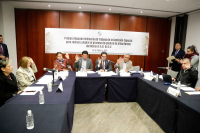Primera Reunión Ordinaria de Trabajo de la Comisión Especial para revisar y vigilar el proceso de quiebra de Altos Hornos de México, S. A. B. de C. V. Miércoles 19 de febrero de 2025 Hora: 10:00 horas 