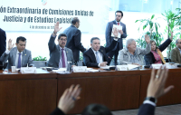 Reunión Extraordinaria de Comisiones Unidas Justicia y Estudios Legislativos, 4 de diciembre de 2024.