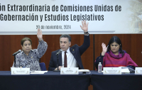 Reunión Extraordinaria de Comisiones Unidas de Gobernación y Estudios Legislativos, 20 de noviembre de 2024.