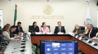 Reunión Extraordinaria de las Comisiones Unidas de Gobernación y de Estudios Legislativos, 23 de abril de 2025.