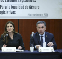 Reunión Extraordinaria de las Comisiones Unidas de Trabajo y Previsión Social y de Estudios Legislativos, 28 de noviembre de 2024.