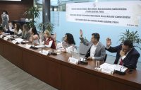 Reunión de Comisiones Unidas de Medio Ambiente, Recursos Naturales y Cambio Climático; y Estudios Legislativos, Primera, 22 de abril de 2025.