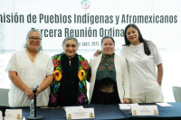 Tercera Reunión Ordinaria de la Comisión de Pueblos Indígenas y Afromexicanos, 10 de abril de 2025