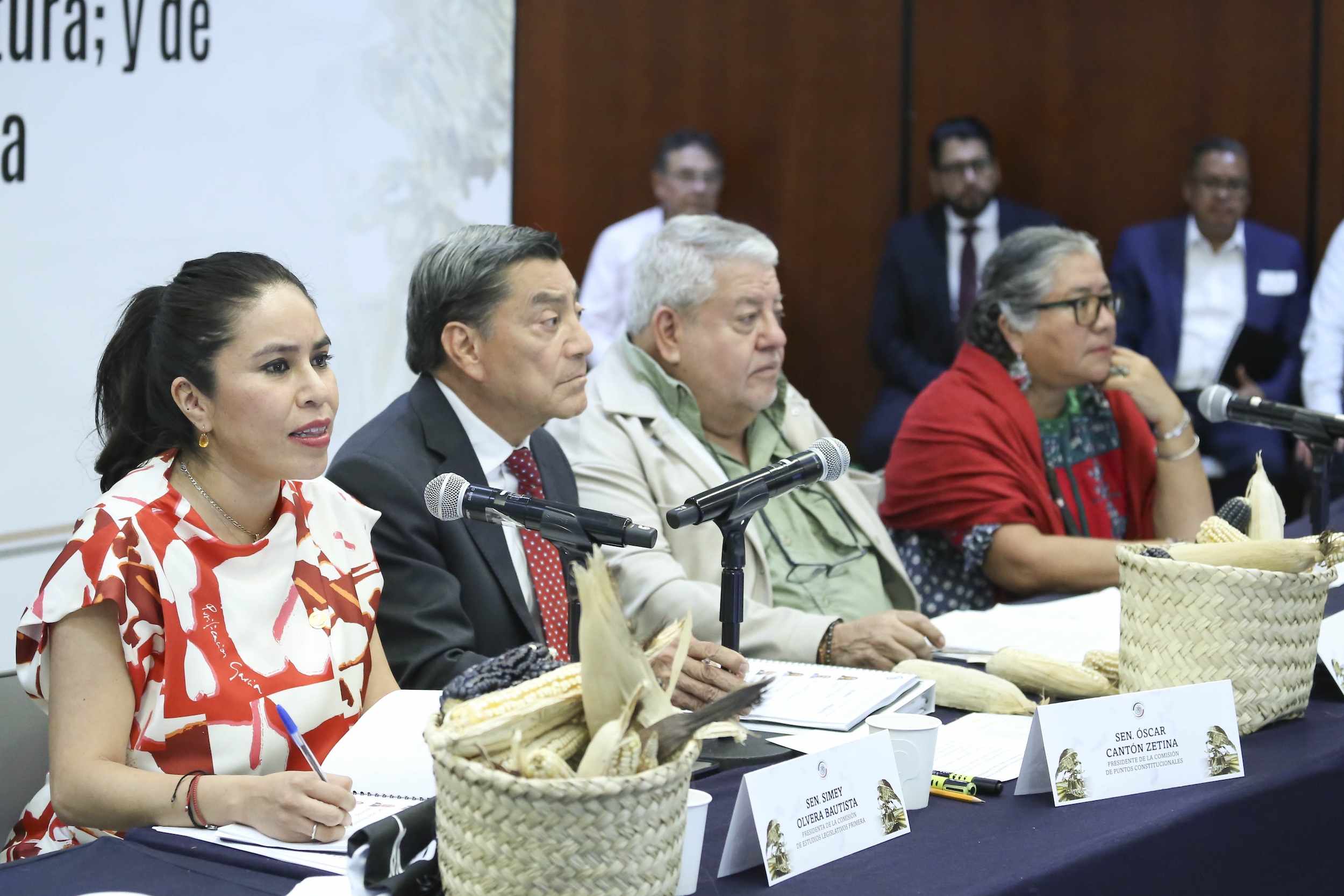 040325 Com Unidas Pts Const Agricultura y Est Leg Prim -4