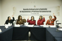 Reunión Ordinaria de la Comisión de Reglamentos y Prácticas Parlamentarias del 27 de noviembre de 2024