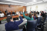 Reunión Extraordinaria de trabajo de la Comisión de Relaciones Exteriores, 13 de diciembre a las 11:00 hrs. en el salón de Protocolo “Ifigenia Martínez Hernández” de la Mesa Directiva