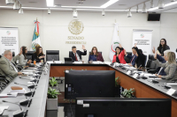 Reunión Extraordinaria de trabajo de Comisiones Unidas de Relaciones Exteriores y de Relaciones Exteriores Asia-Pacifico,13 de diciembre a las 09:30 hrs, en el salón de Protocolo “Ifigenia Martínez Hernández” de la Mesa Directiva.