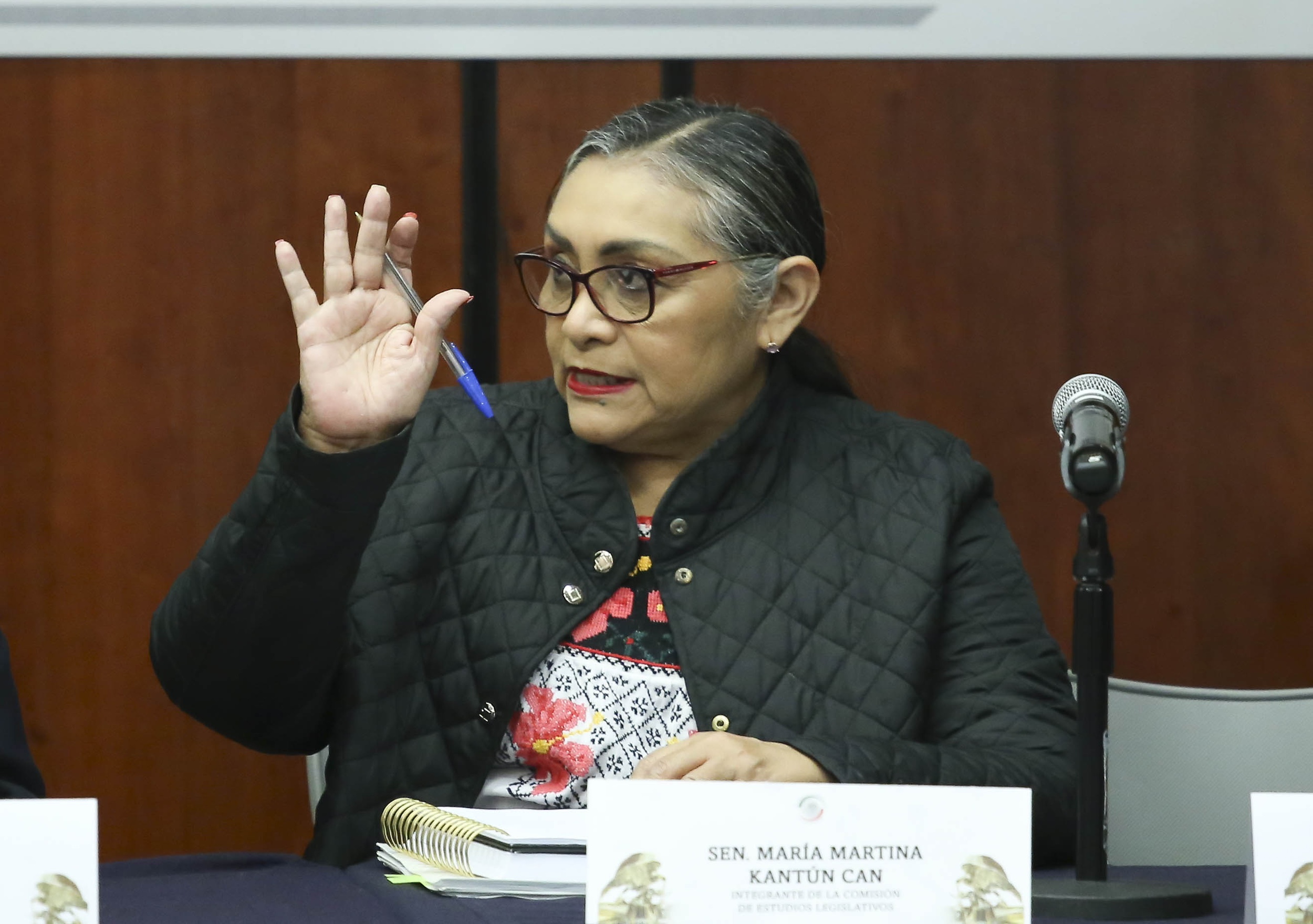 200225 Comisiones Unidas Seguridad Social y Estudios Legislativos-5