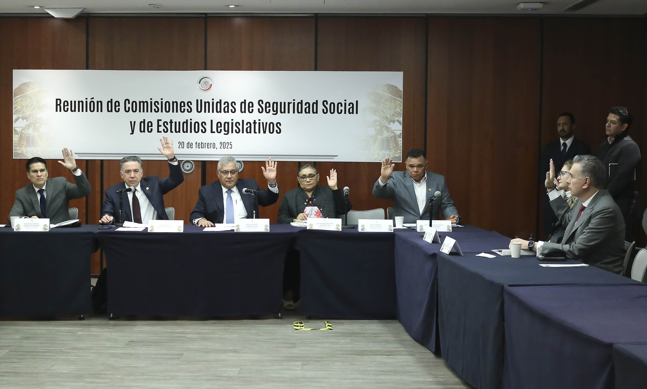 200225 Comisiones Unidas Seguridad Social y Estudios Legislativos-6
