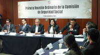 Primera Reunión de la Comisión de Seguridad Social, 26 de noviembre de 2024