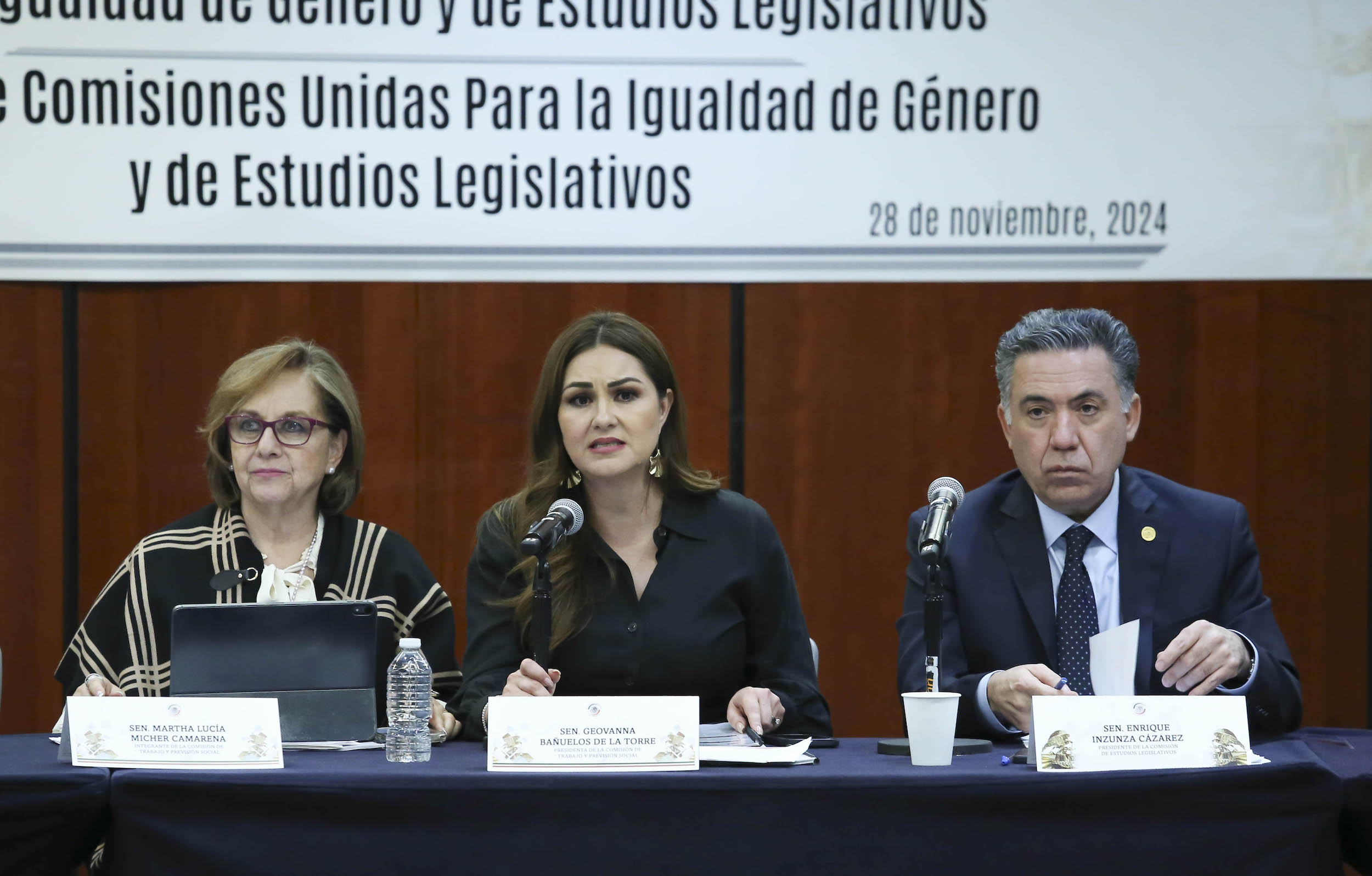 281124 Comisiones Unidas de Trabajo Igualdad de Genero y Estudios Legislativos-1